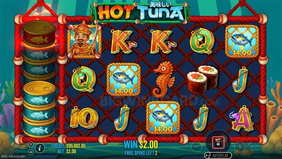 slotvip Understanding Game Variance
