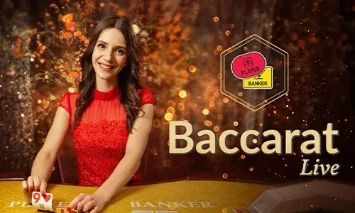 SlotVIP Daily Rewards